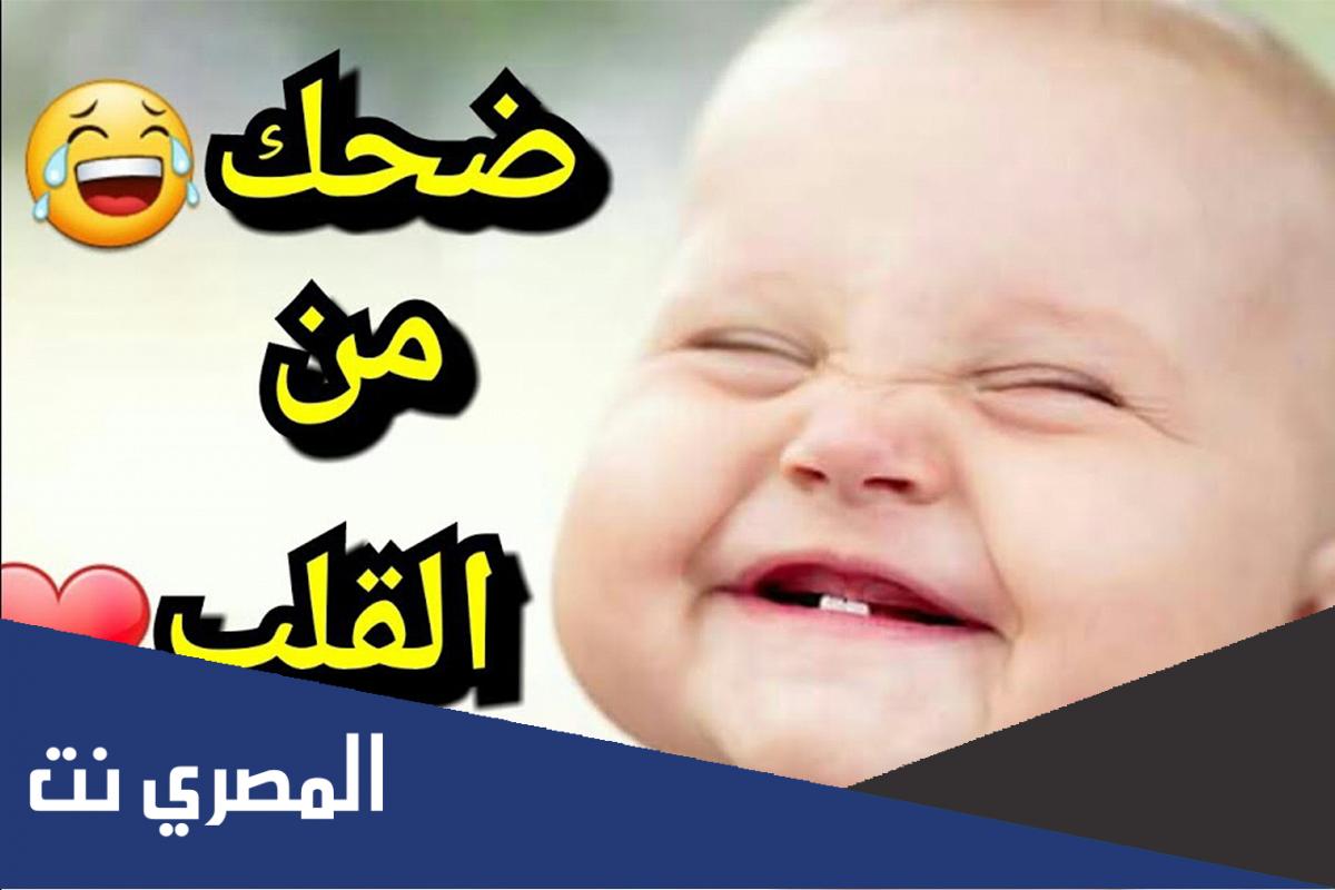 نكت بايخة بس تضحك 2022 حاول تمسك نفسك من الضحك
