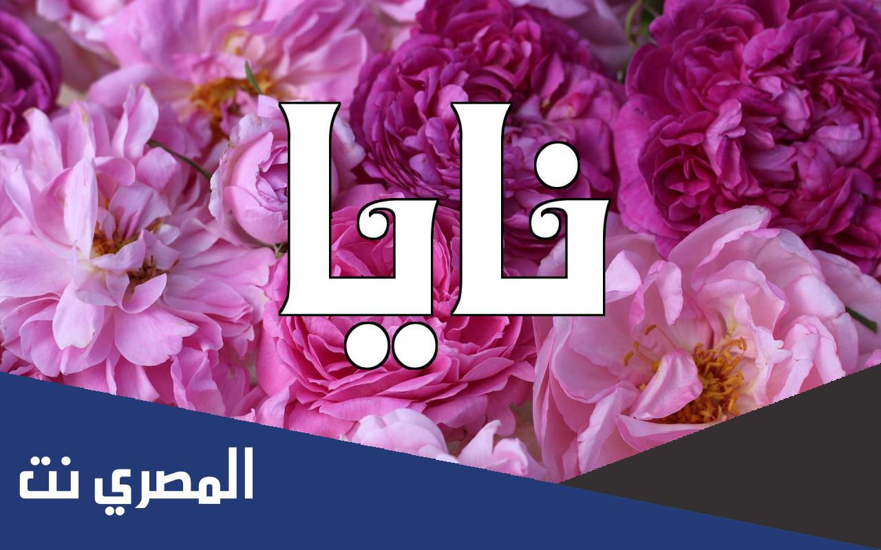 هل اسم نايا حرام في الإسلام