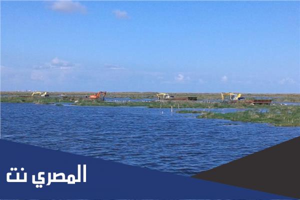 اين تقع بحيرة المنزلة