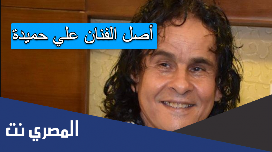 أصل الفنان علي حميدة