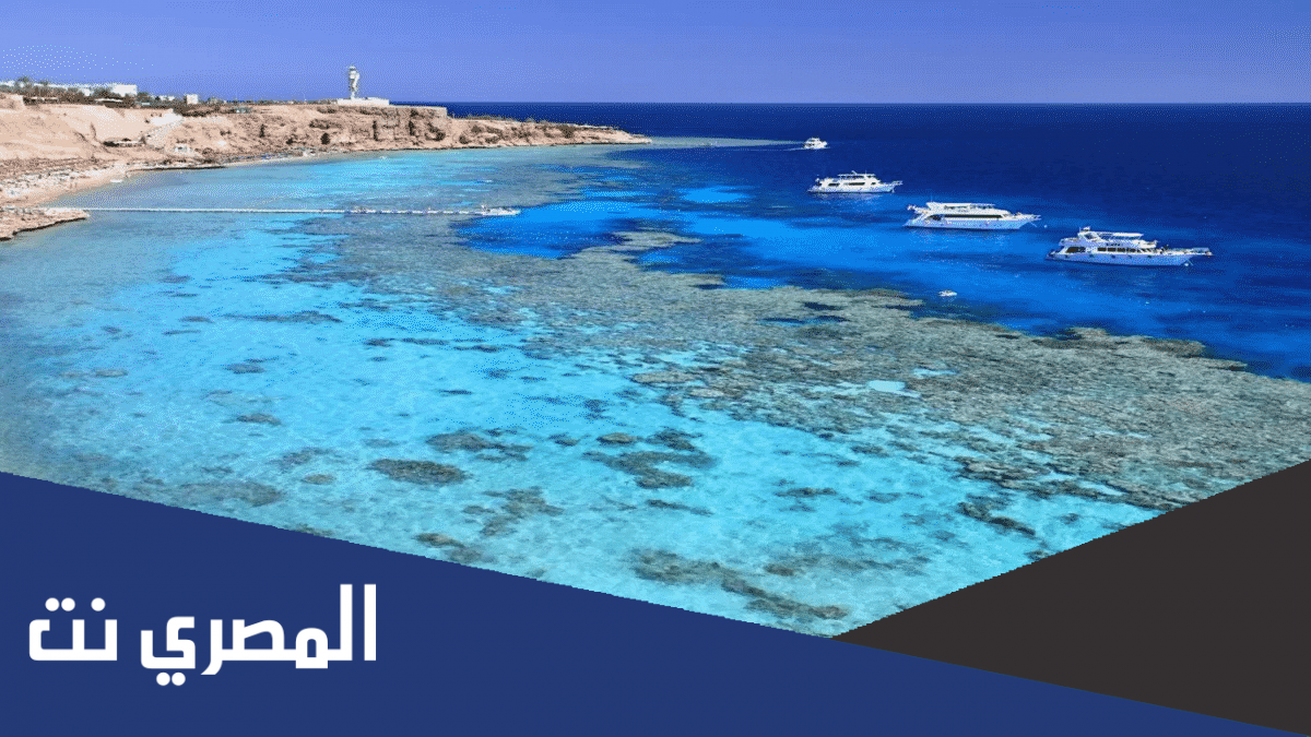 افضل شواطئ مطروح 2022