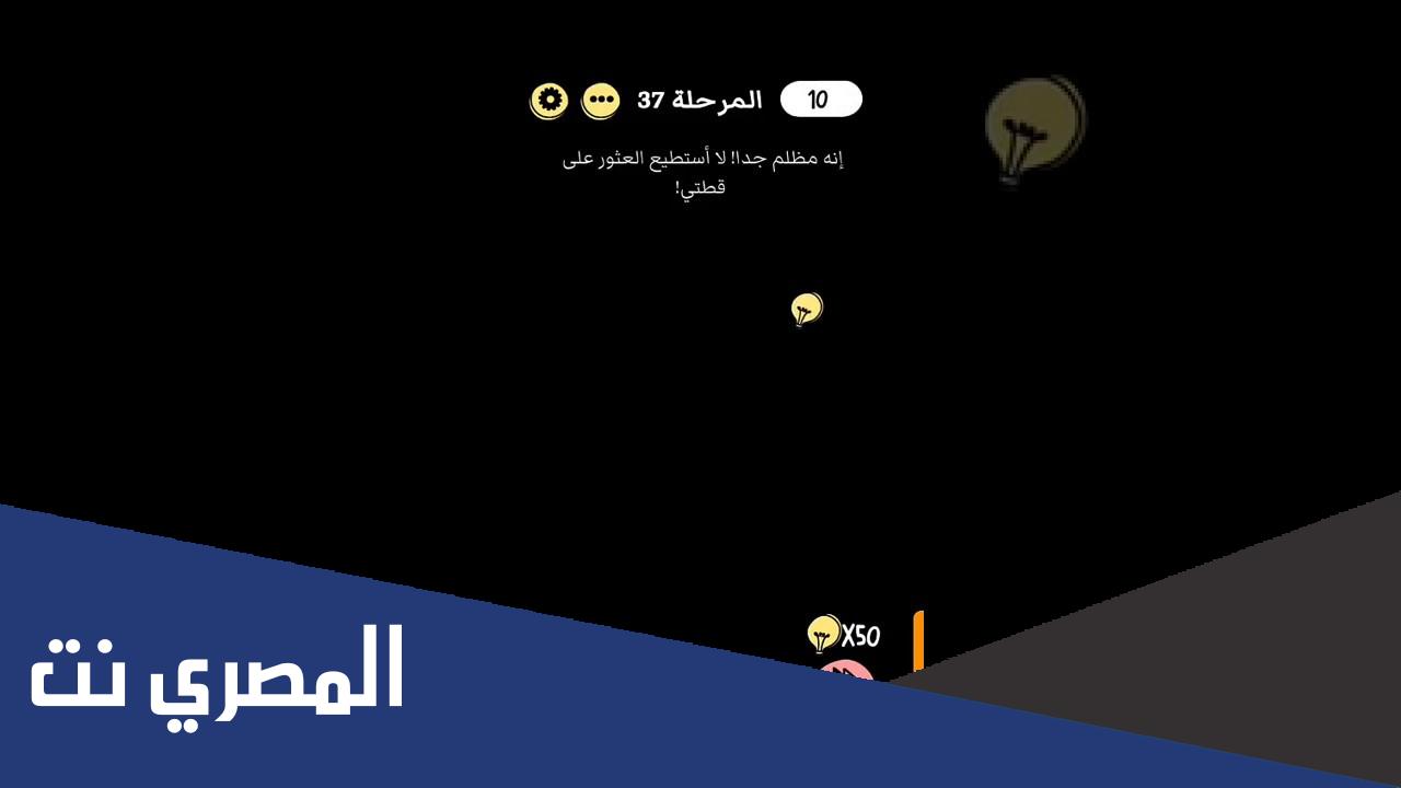 انه مظلم جدا لا استطيع العثور على قطتي