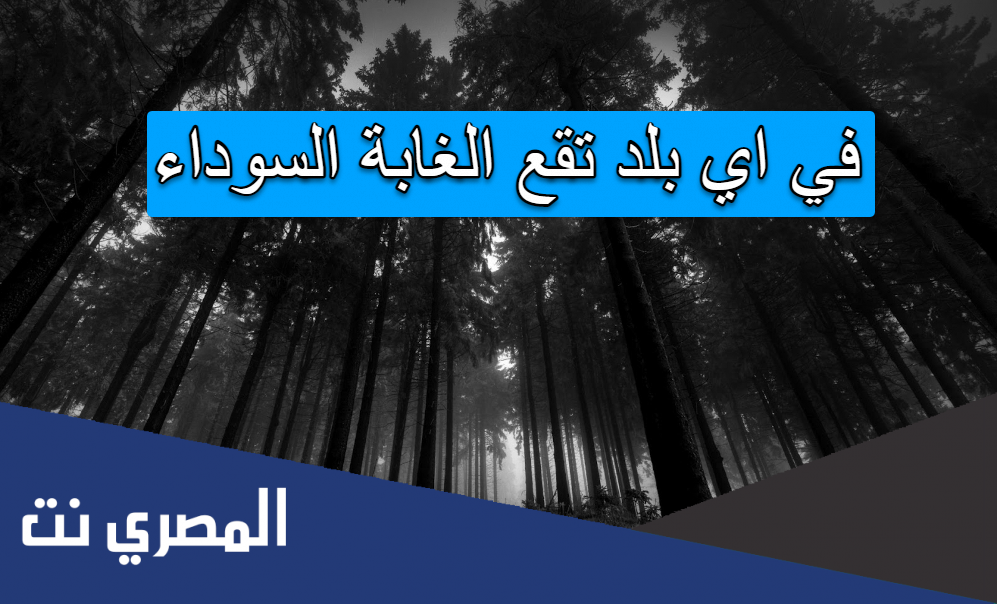 في اي بلد تقع الغابة السوداء