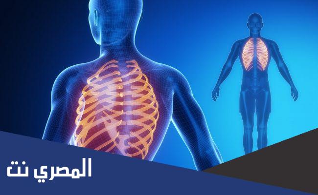 ماهو القفص الذي لا يستطيع ان يدخله انسان او حيوان