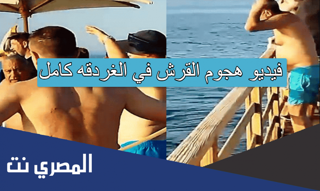 فيديو هجوم القرش في الغردقه كامل