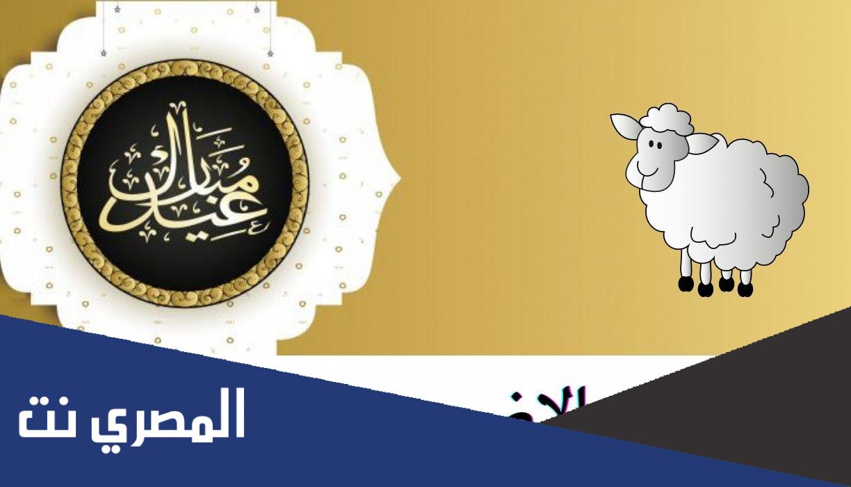 قرار رئيس الوزراء بخصوص اجازة عيد الاضحى 2022 للقطاع الخاص بمصر
