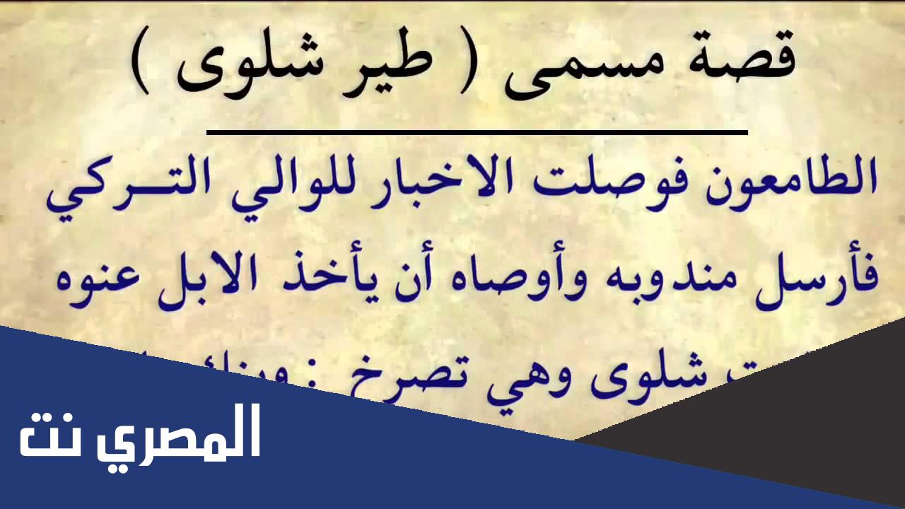 قصة طيور شلوى سعود