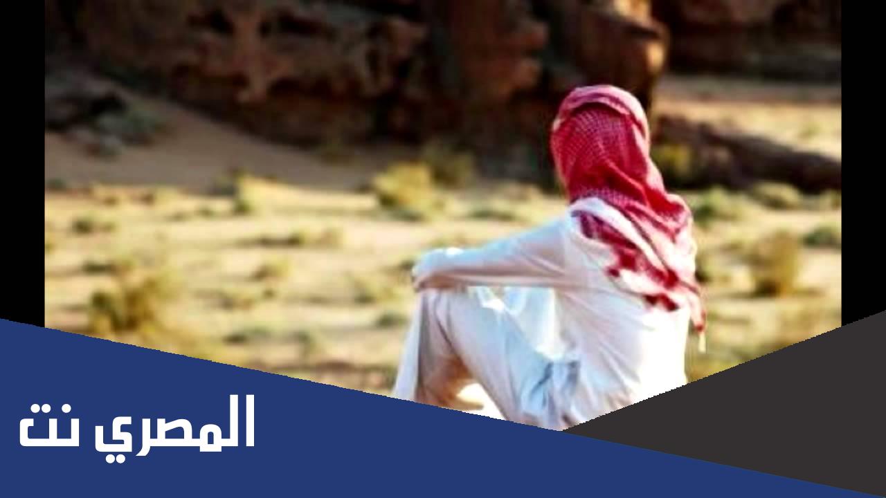 كلمات شيلة وقلبي اللي غدا بطليح