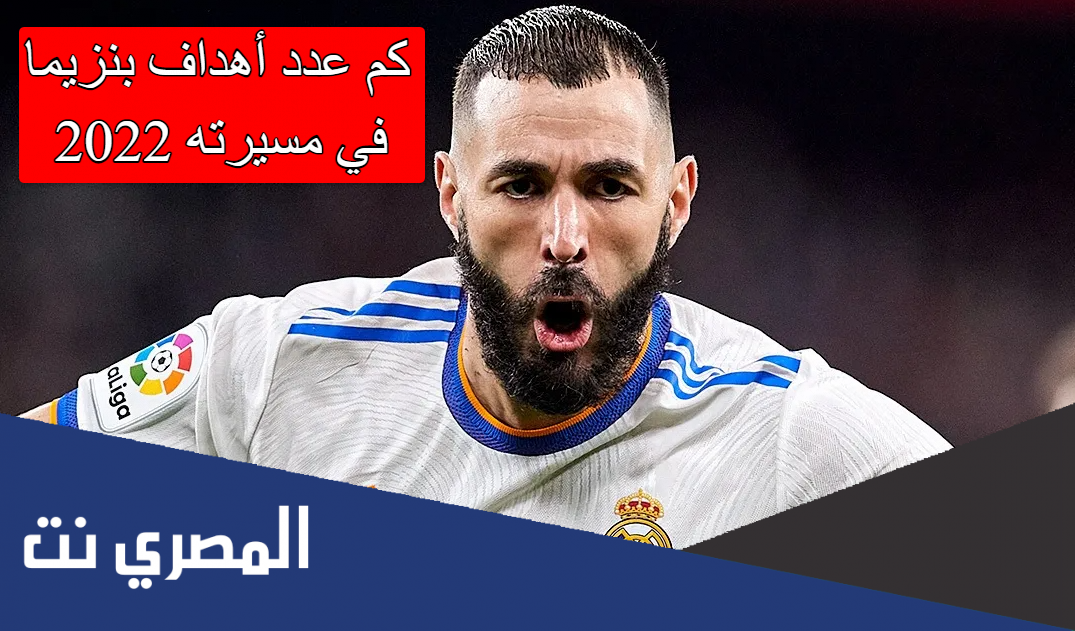 كم عدد أهداف بنزيما في مسيرته 2022