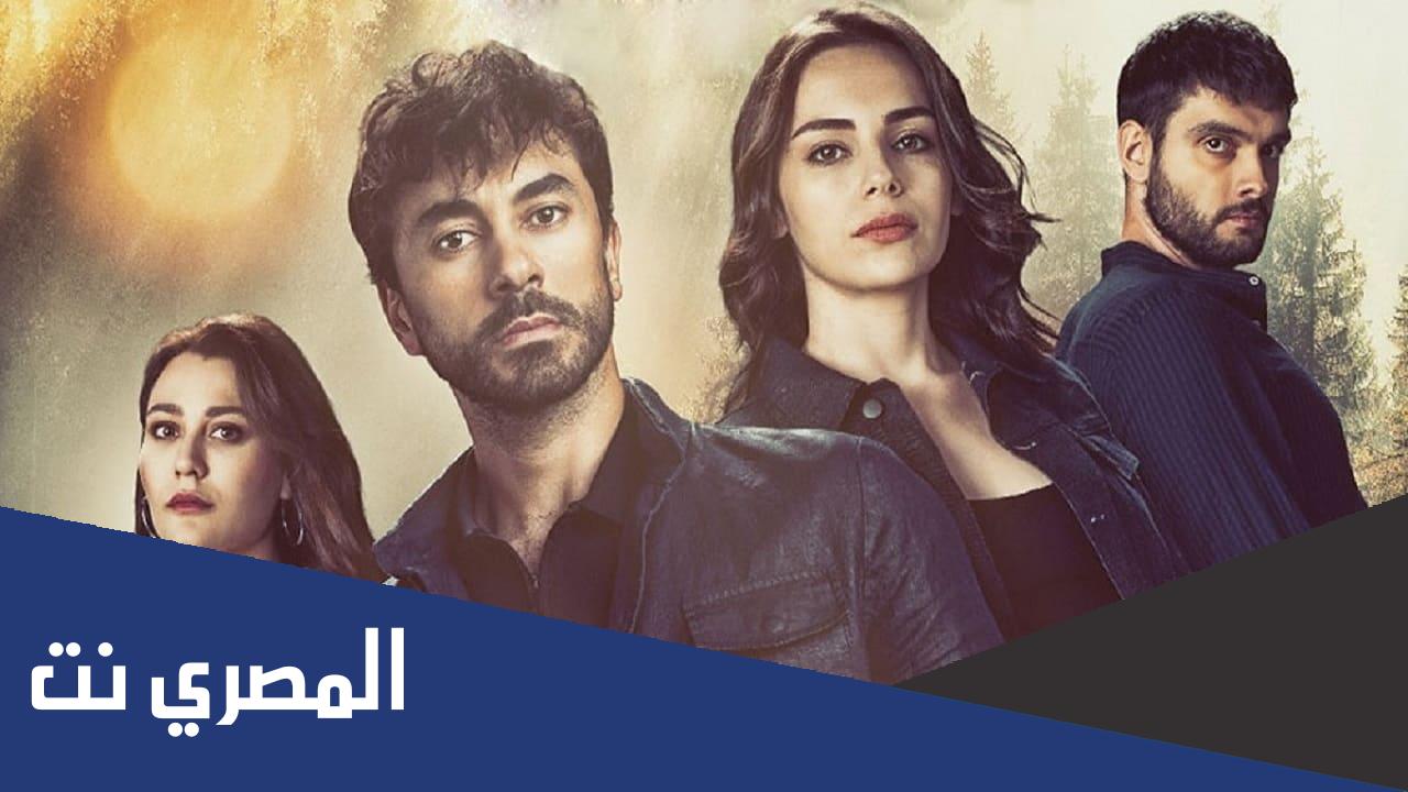 كم عدد حلقات مسلسل جرح القلب