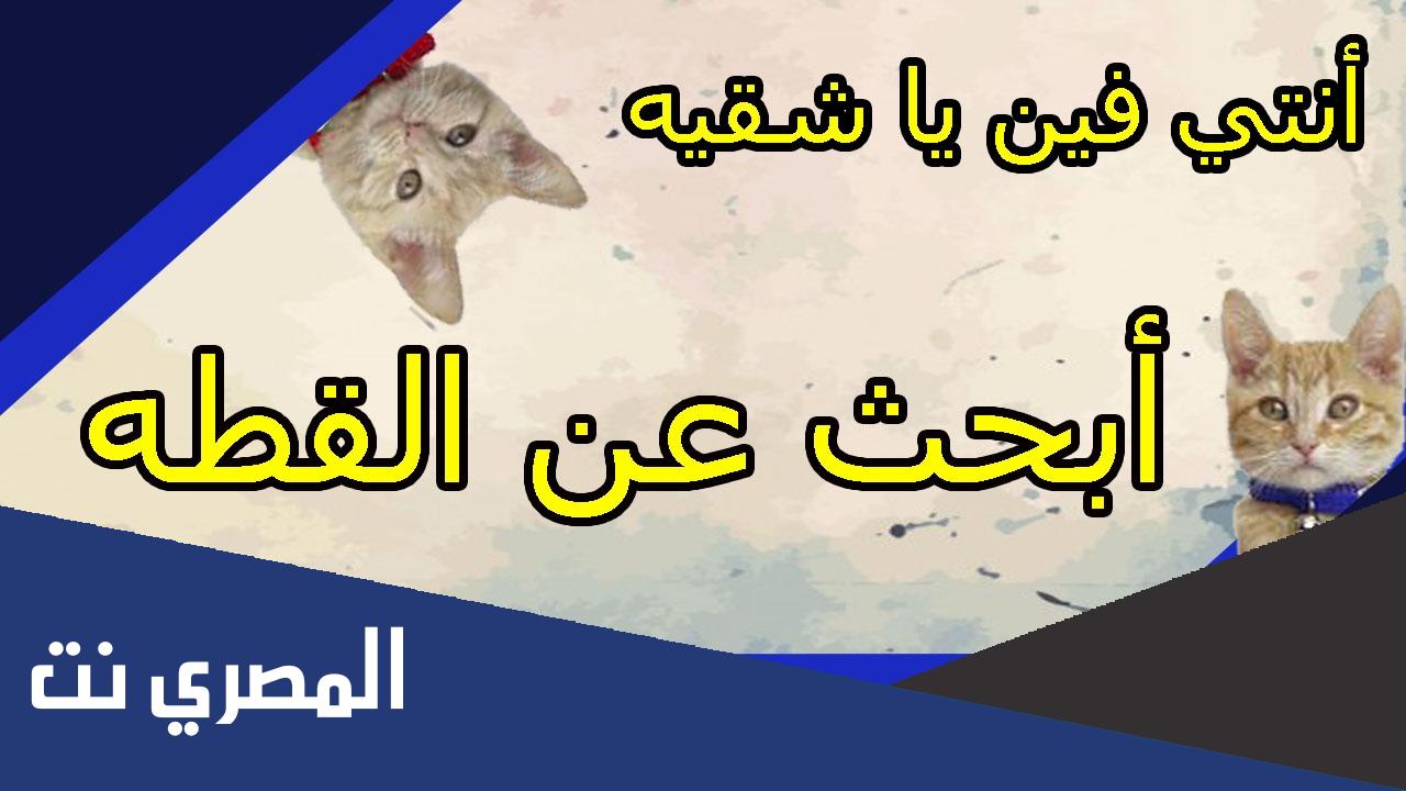 لغز هل تستطيع ايجاد القط في الصورة