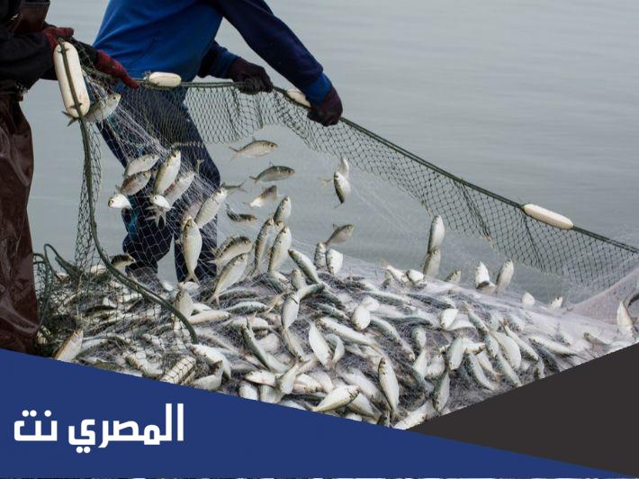 ما اهم الاسماك في مصايد الاطلنطي