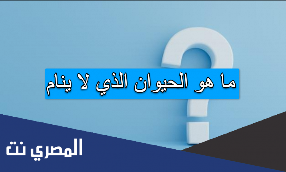 ما هو الحيوان الذي لا ينام