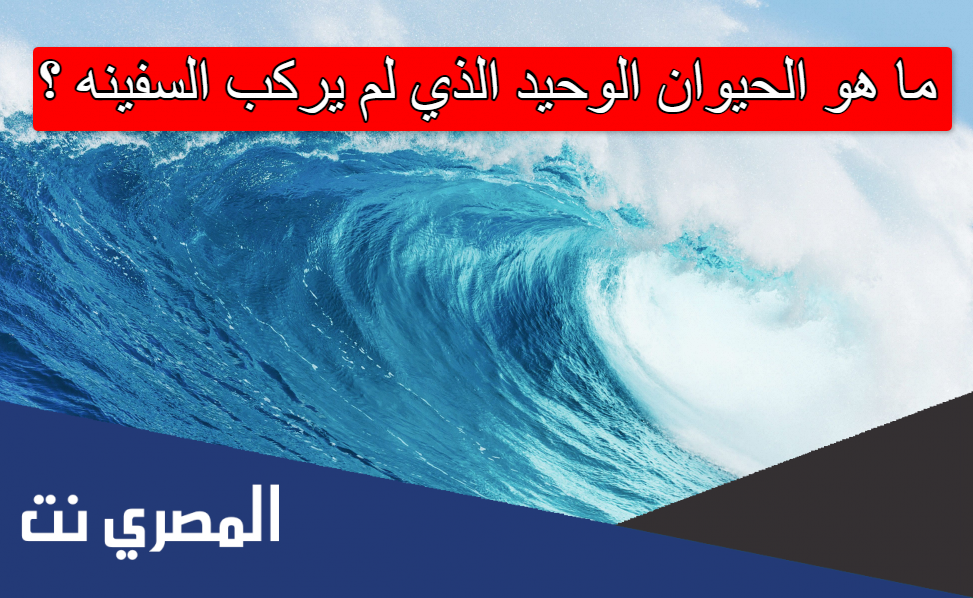 ما هو الحيوان الوحيد الذي لم يركب السفينه