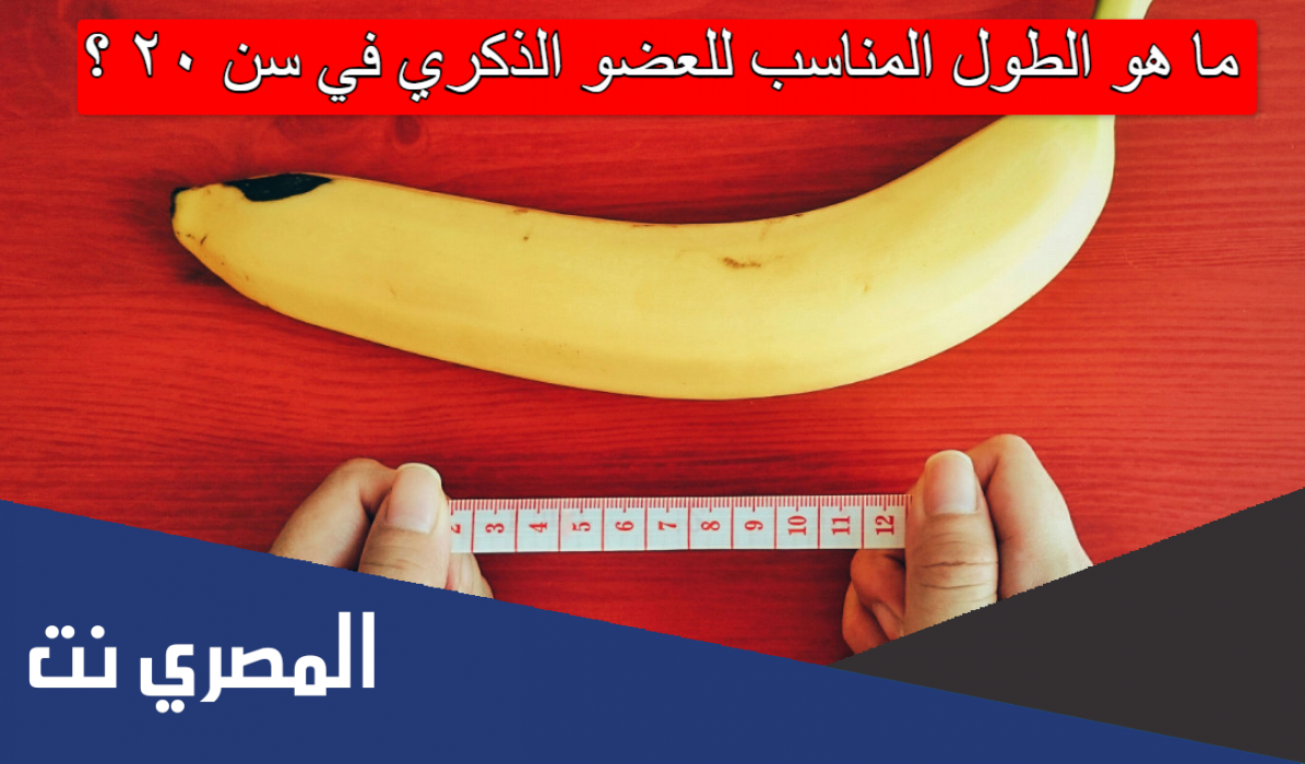 ما هو الطول المناسب للعضو الذكري في سن ٢٠