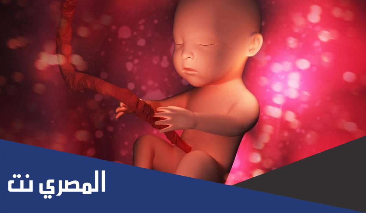 ماذا يحدث للجنين عندما تعطس الام