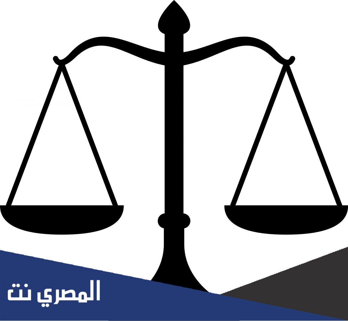ماهو تخصص الانظمة