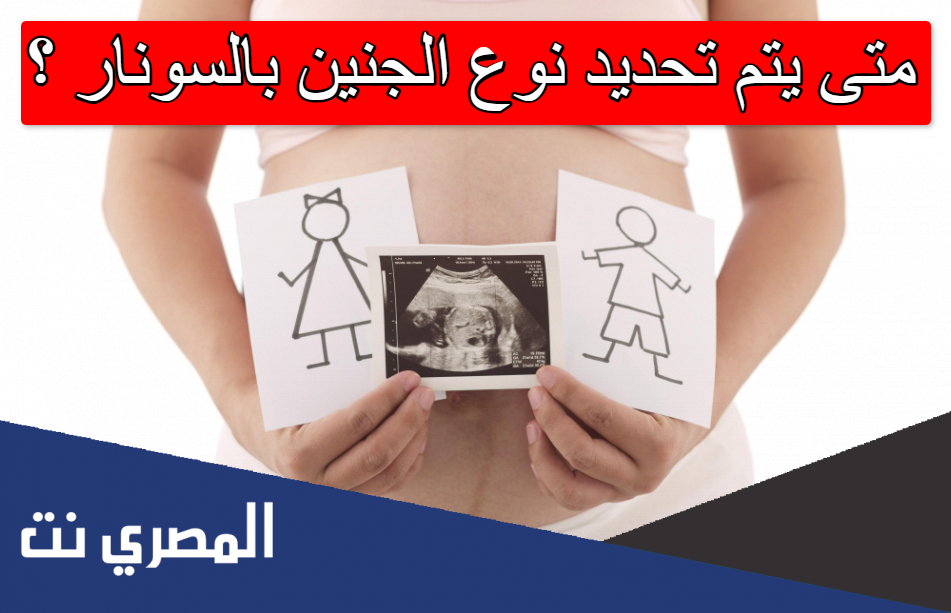 متى يتم تحديد نوع الجنين بالسونار