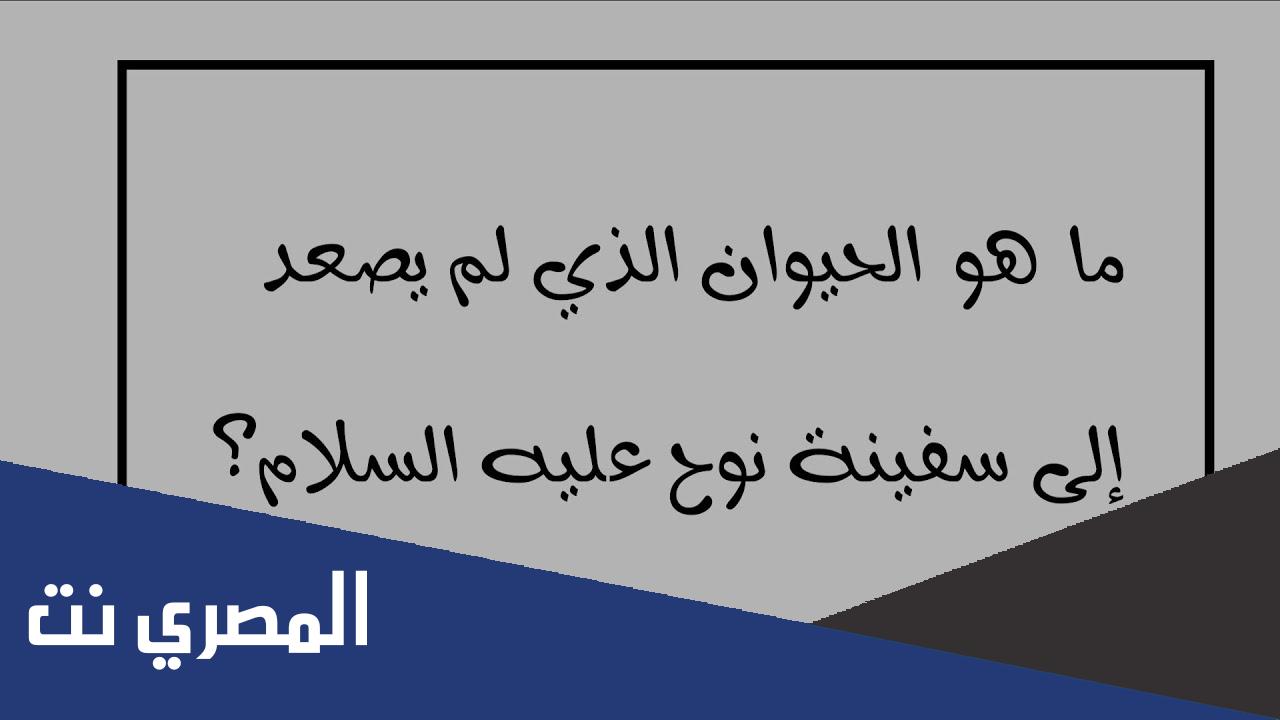 من الذي لم يركب السفينة؟