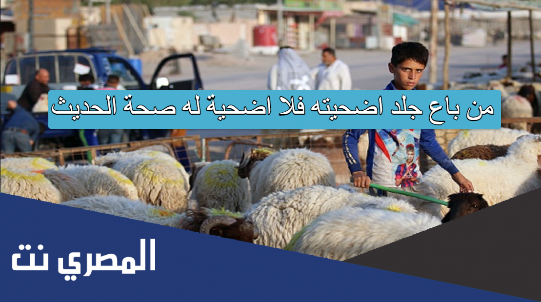 من باع جلد اضحيته فلا اضحية له صحة الحديث