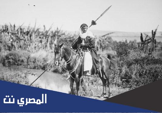 من هم طيور شلوى