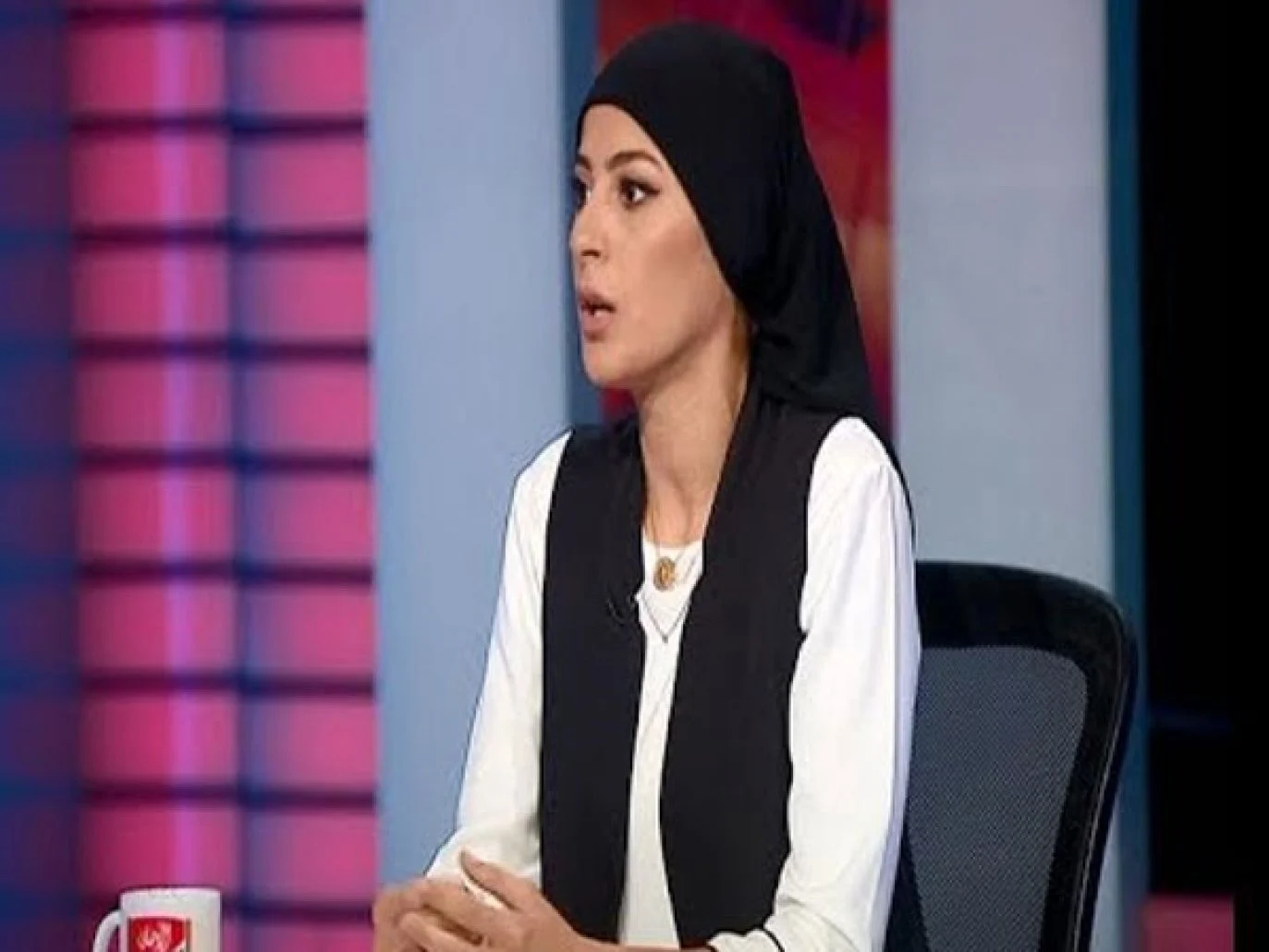 من هي سلمى احمد شوبير