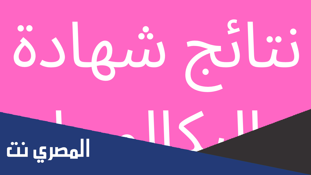 نسبة النجاح في البكالوريا 2022 سوريا