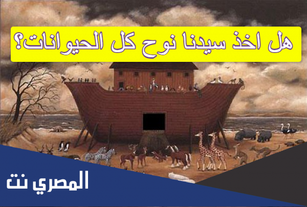 هل اخذ سيدنا نوح كل الحيوانات؟