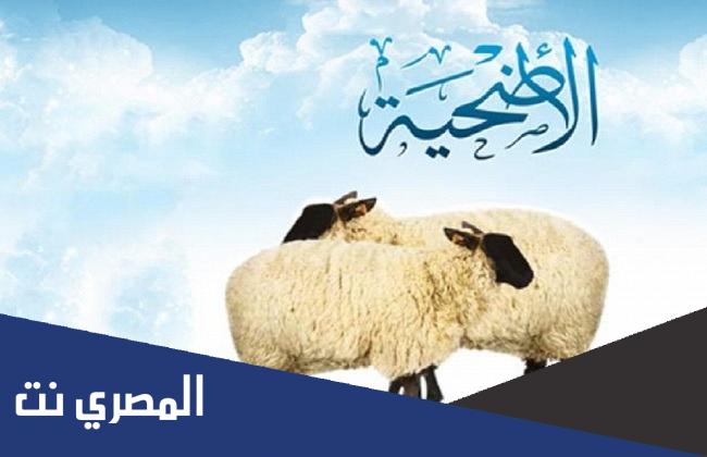 هل يجوز الاشتراك في الأضحية مع الأب اسلام ويب