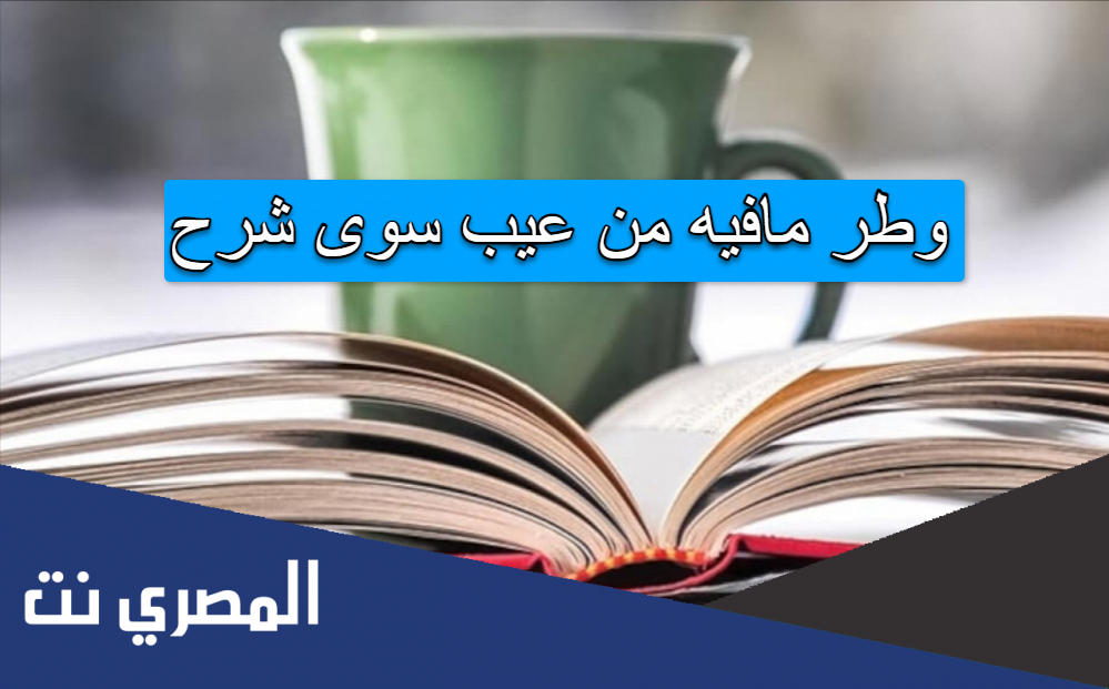 وطر مافيه من عيب سوى شرح