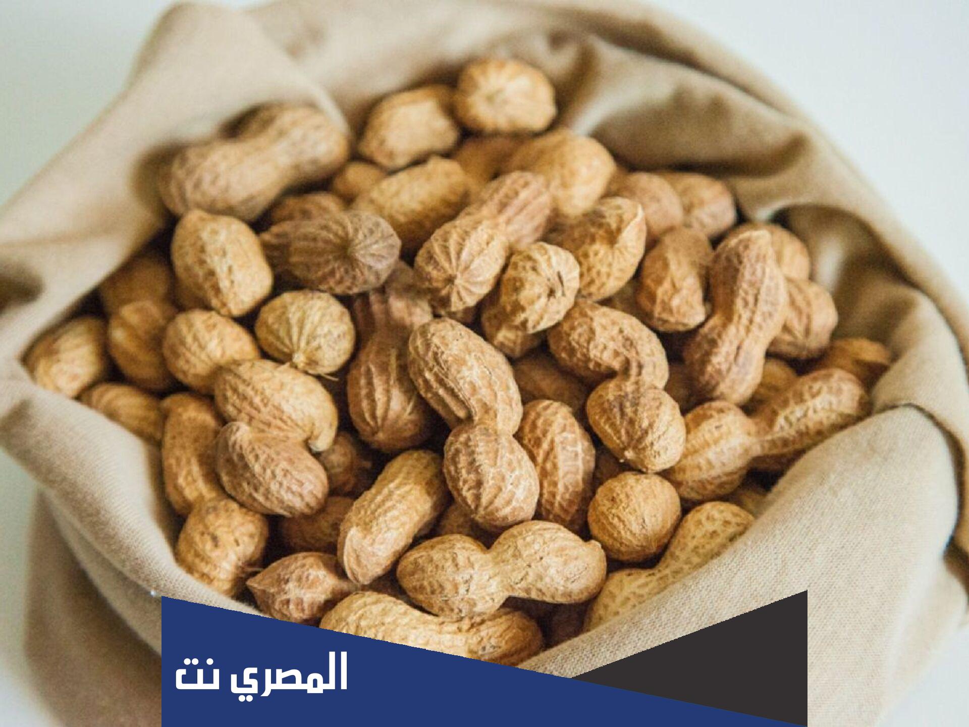 في اي دولة ظهر الفول السوداني اول مرة