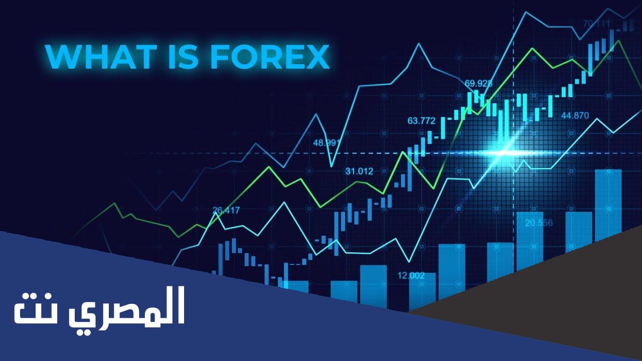 ما حجم السيولة التي يتم تداولها في سوق الفوركس يوميا
