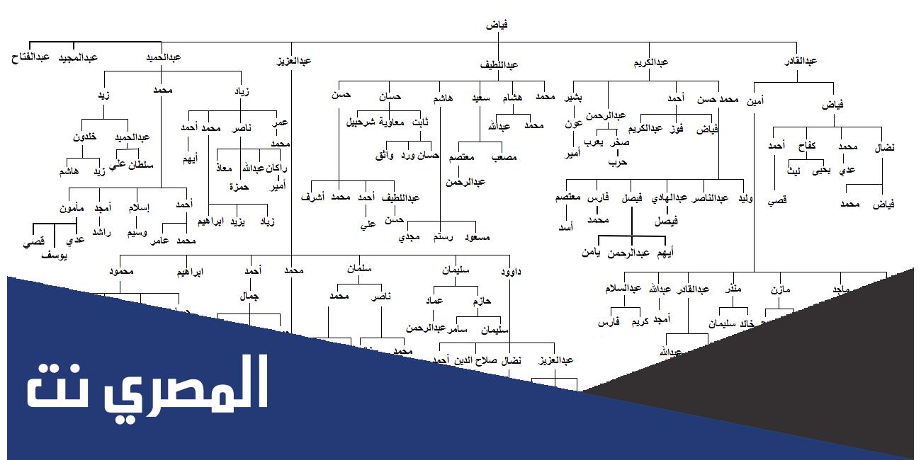 أصل عائلة النابلسي