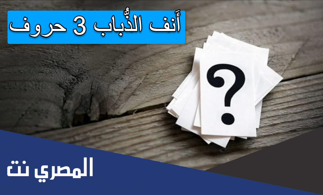 أَنف الذُّباب 3 حروف