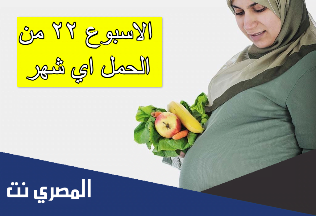 الاسبوع ٢٢ من الحمل اي شهر