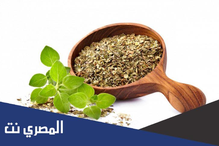 الاوريجانو ما هو