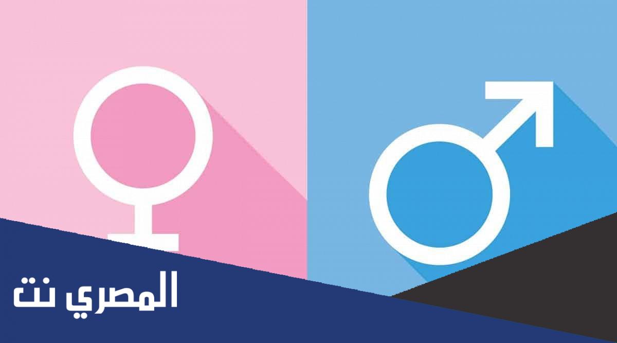 معرفة نوع الجنين بالجدول الصيني 2023