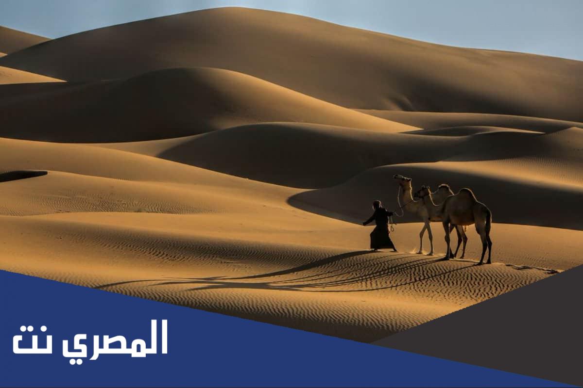 الديحاني من أي فخذ
