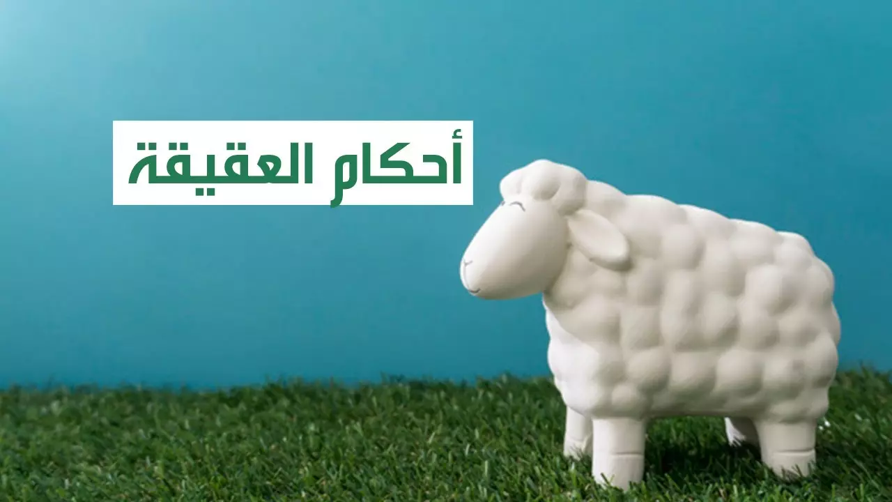 الذبيحة التي تذبح عن المولود