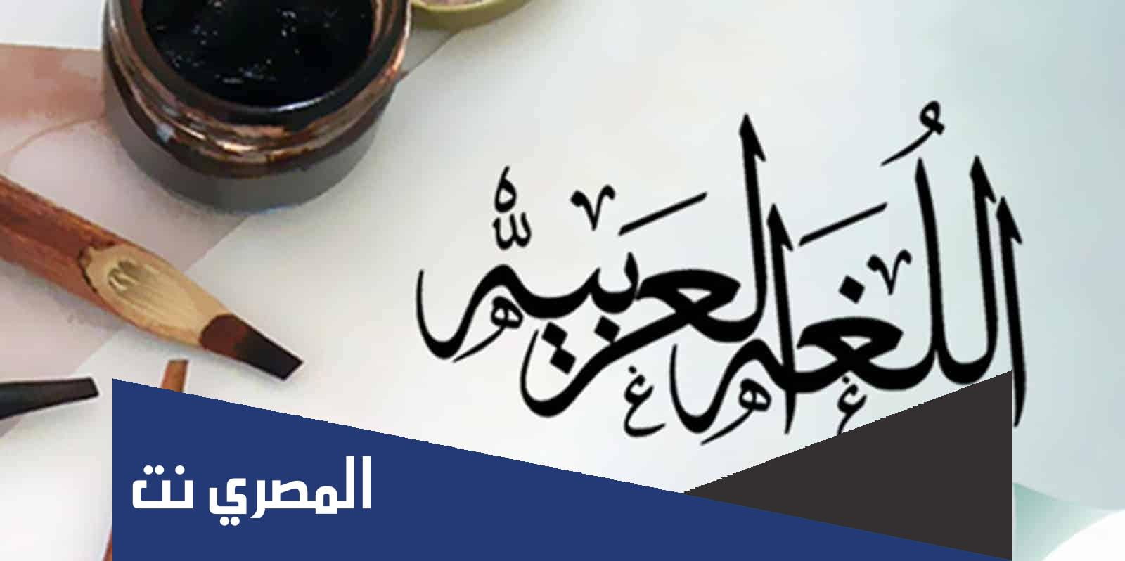 ما معنى هذه الجملة باللغة العربية