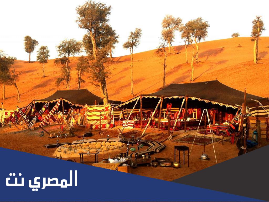 النملة وش يرجعون له