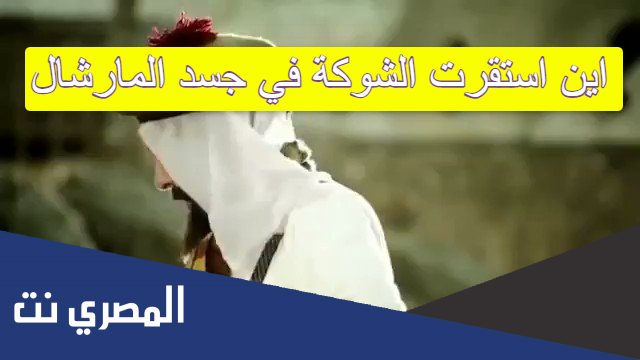 اين استقرت الشوكة في جسد المارشال
