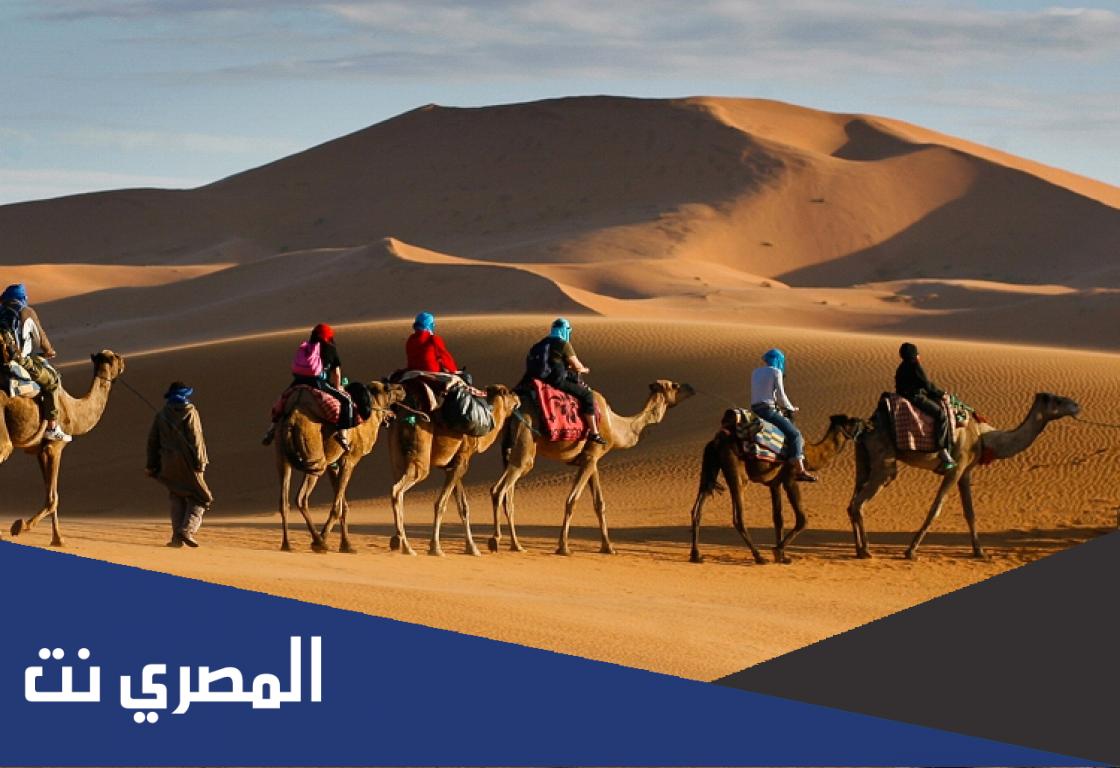 بني تميم وش يرجعون