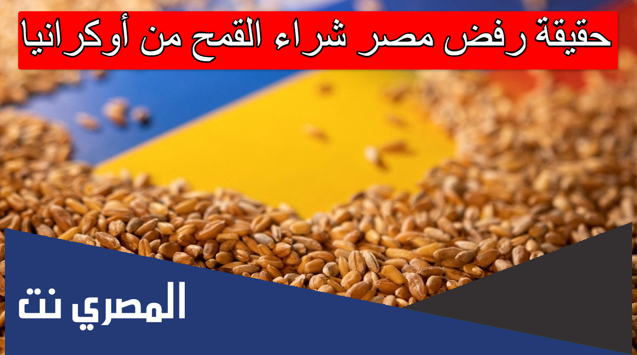 حقيقة رفض مصر شراء القمح من أوكرانيا
