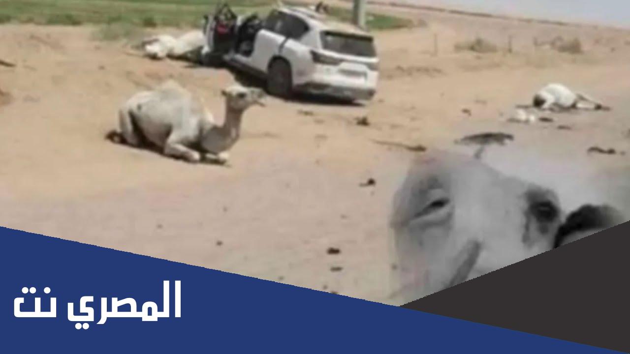 حقيقة وفاة عبدالرحمن عليان الطهيمي