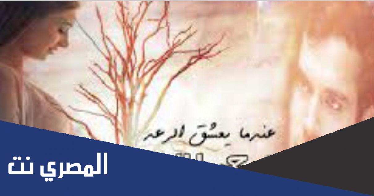 رواية رحم للايجار الجزء الاول pdf