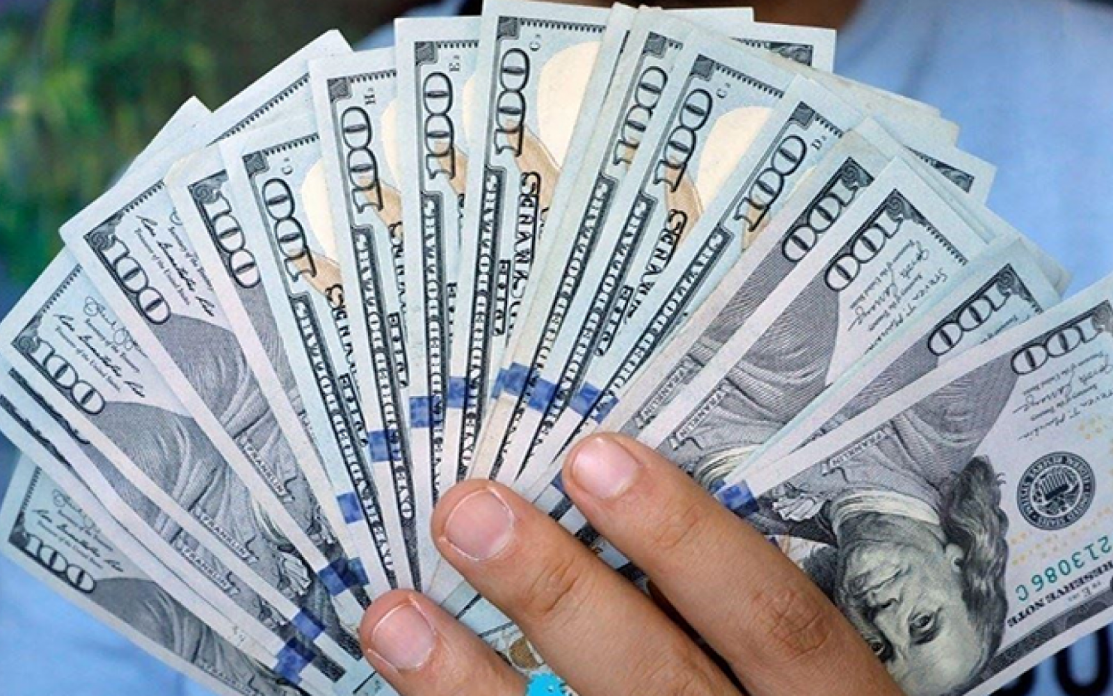 سعر الدولار اليوم في مصر تحديث يومي لايف الخميس 11 8