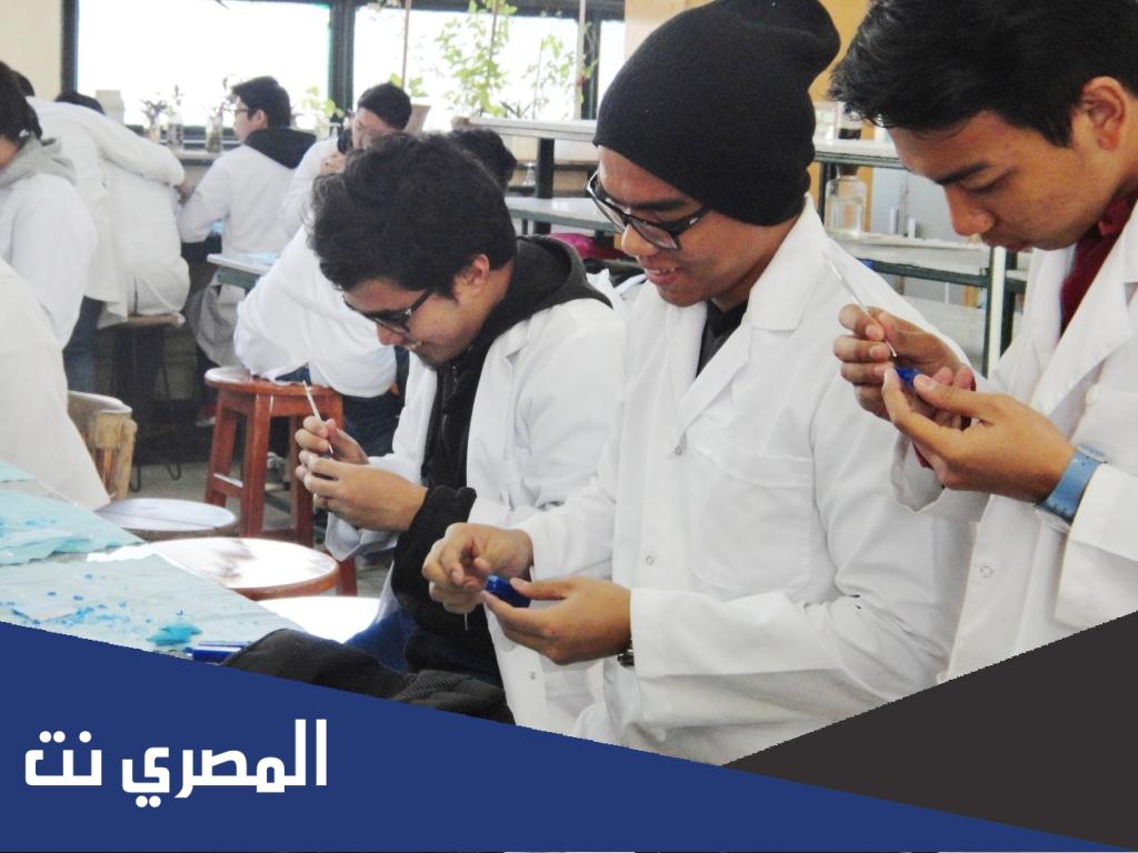 عدد طلاب كليات الطب في مصر