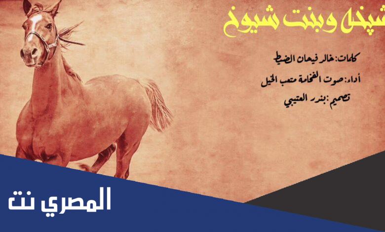 كلمات شيلة بنت الشيوخ