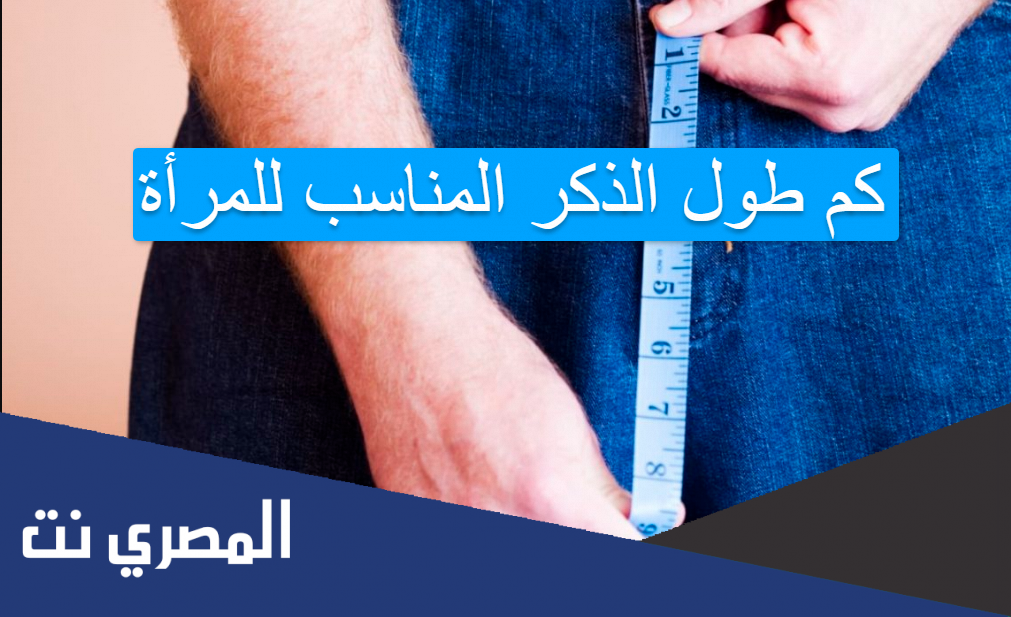 كم طول الذكر المناسب للمرأة